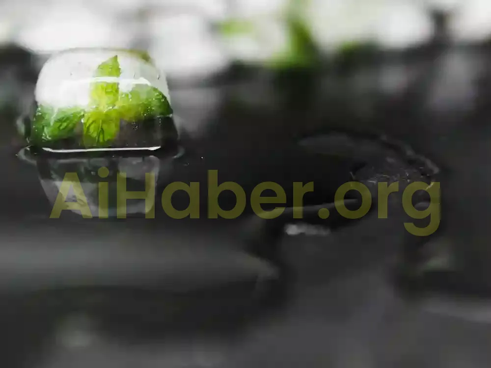 Çevre Bilimlerinde İleri Teknolojilerin Kullanımı