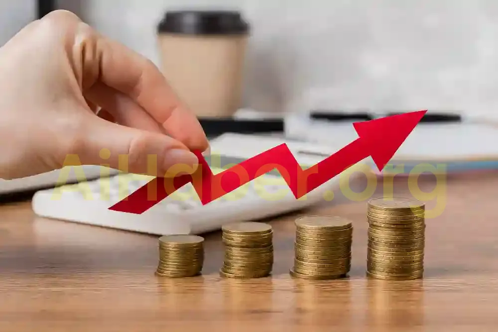 Enflasyonla Mücadelede Alternatif Ekonomik Modeller