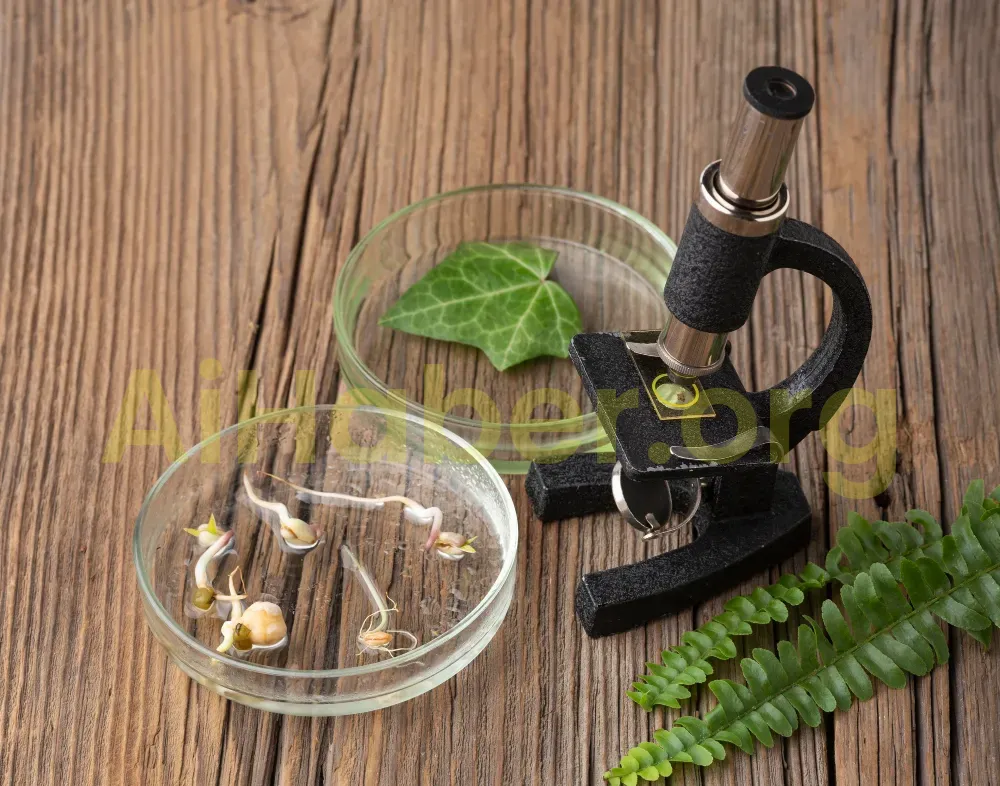 Alternatif Tıp ve Modern Tıp Arasındaki Farklar