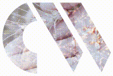 Nanomateryallerin yapay zeka tarafından oluşturulan sahte fotoğrafları Nature Nanotech'te yayınlandı 4 Nanomateryallerin yapay zeka tarafından oluşturulan sahte fotoğrafları Nature Nanotech’te yayınlandı