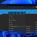 Customize re write in Notepad
